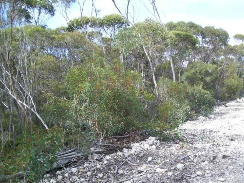 3 Hog Bay Road, Pelican Lagoon SA 5222