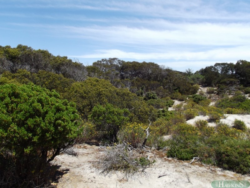 3 Hog Bay Road, Pelican Lagoon SA 5222