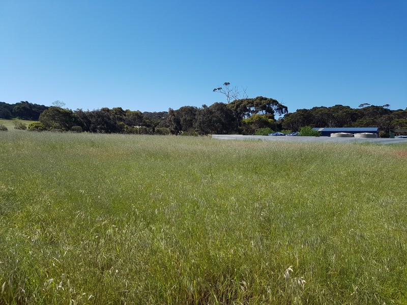 14 Ibis Walk, American River SA 5221