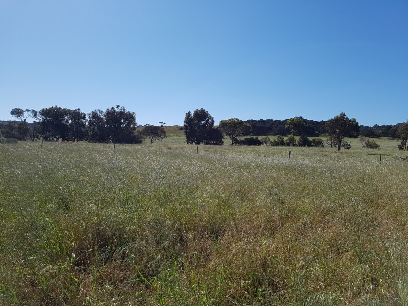 17  Ibis walk, American River SA 5221