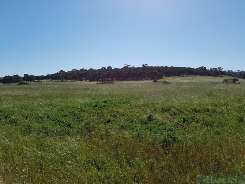 5 Plover Place, American River SA 5221