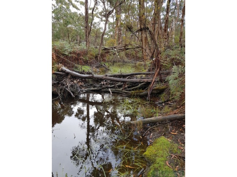 140 Tin Hut Road, Duncan SA 5223