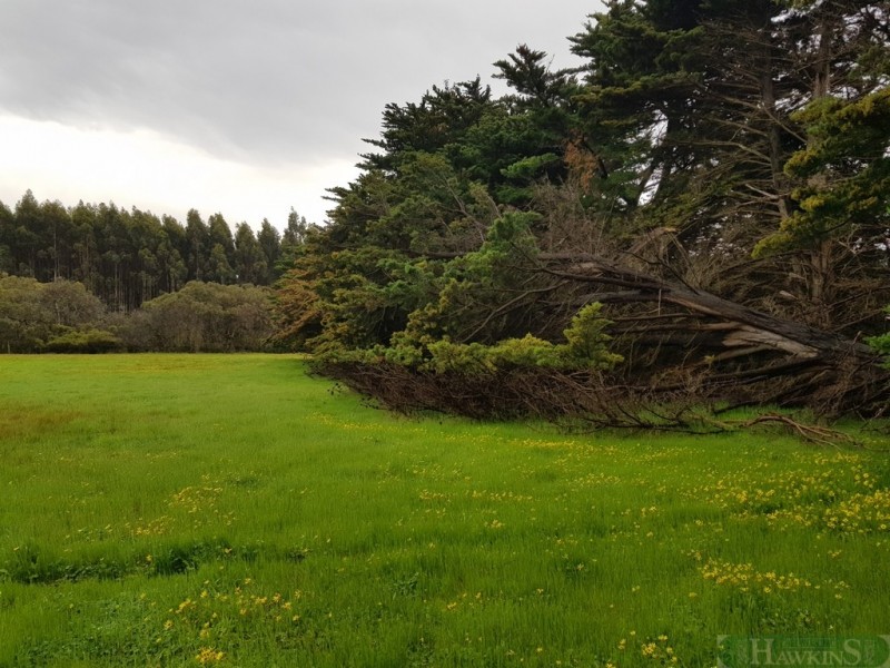 140 Tin Hut Road, Duncan SA 5223