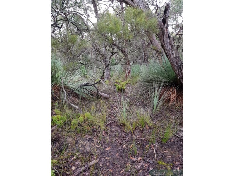 140 Tin Hut Road, Duncan SA 5223