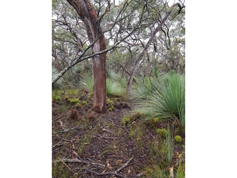 140 Tin Hut Road, Duncan SA 5223