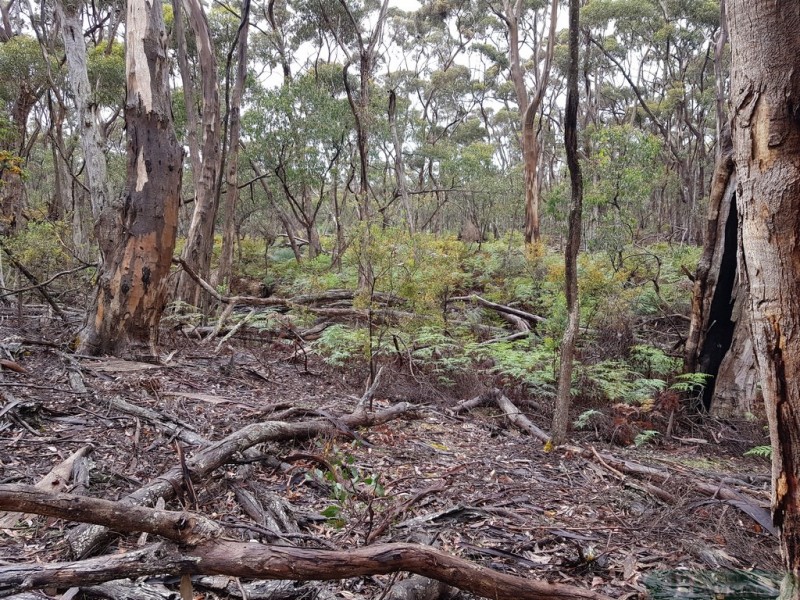 140 Tin Hut Road, Duncan SA 5223