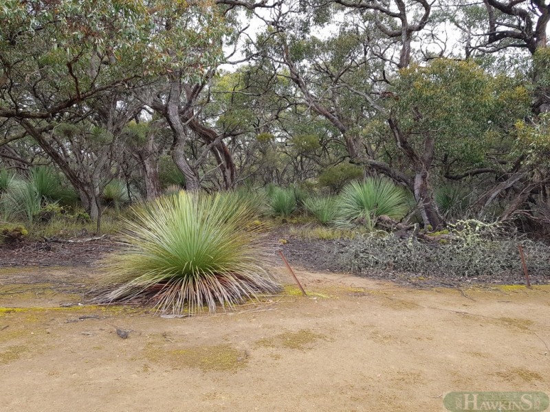 140 Tin Hut Road, Duncan SA 5223