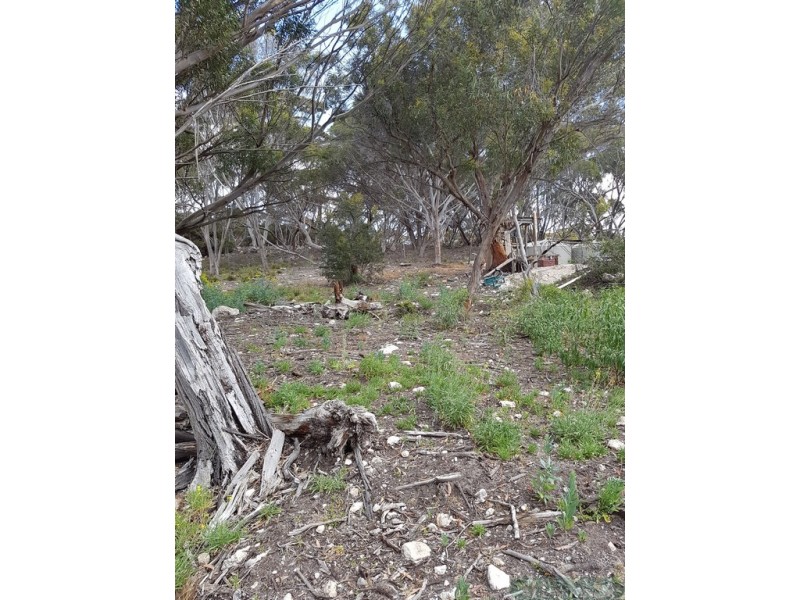 39 Island Beach Rd, Island Beach SA 5222