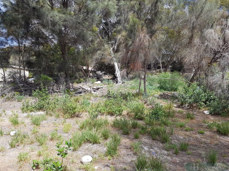 39 Island Beach Rd, Island Beach SA 5222