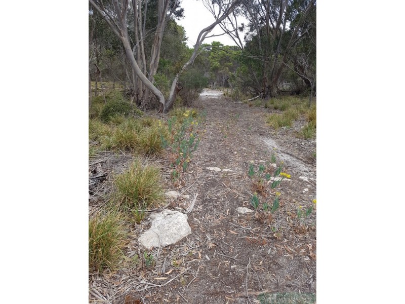 245 Arafura Avenue, Island Beach SA 5222