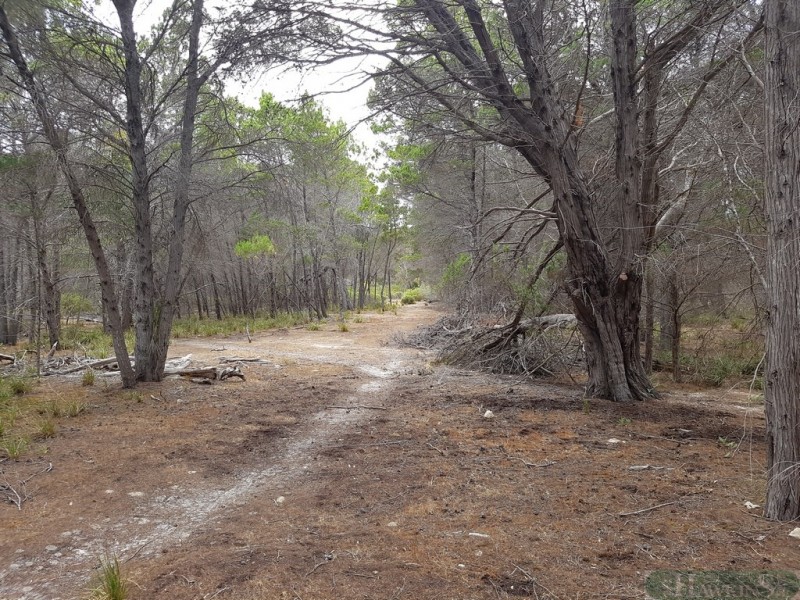 245 Arafura Avenue, Island Beach SA 5222