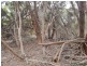 245 Arafura Avenue, Island Beach SA 5222