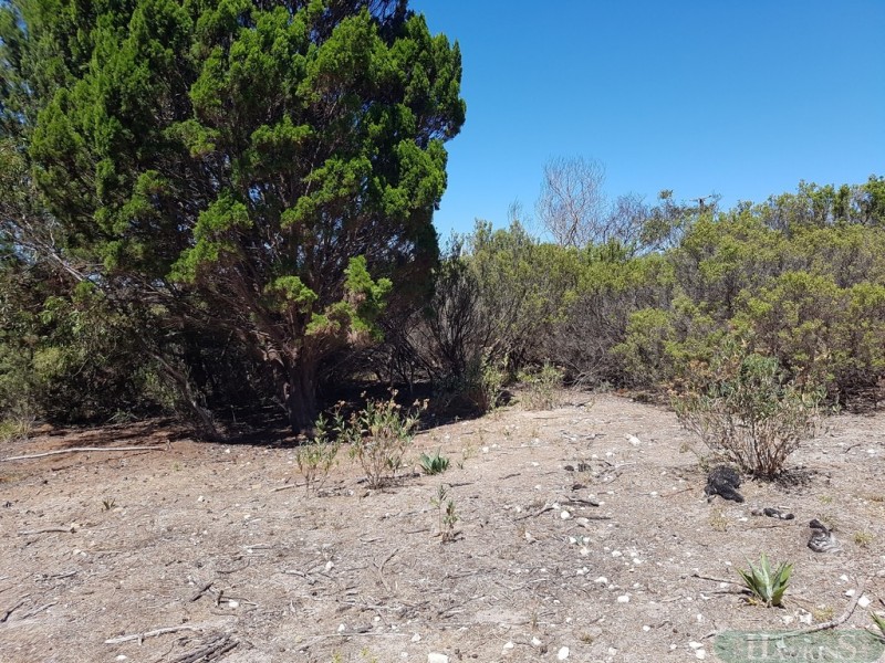 6 Island Beach Road, Island Beach SA 5222