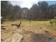 212 Scenic Drive, American River SA 5221