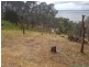 212 Scenic Drive, American River SA 5221