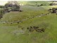 192 West George Road, Emu Bay SA 5223