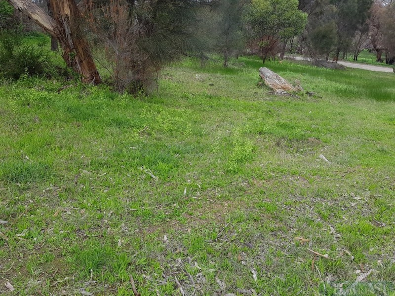 18 Thomas Road, American River SA 5221