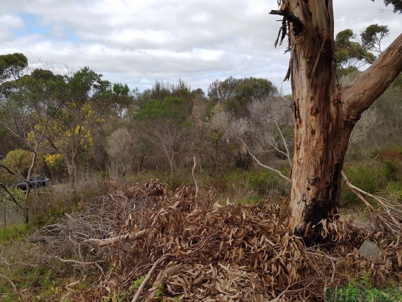 49 Bayview Road, American River SA 5221