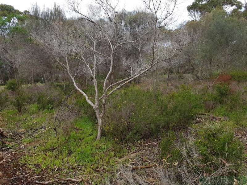 49 Bayview Road, American River SA 5221