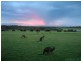 5149 South Coast Road, Vivonne Bay SA 5223