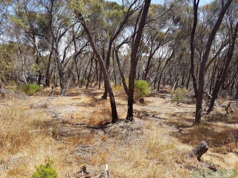 50 Archibald Street, American River SA 5221