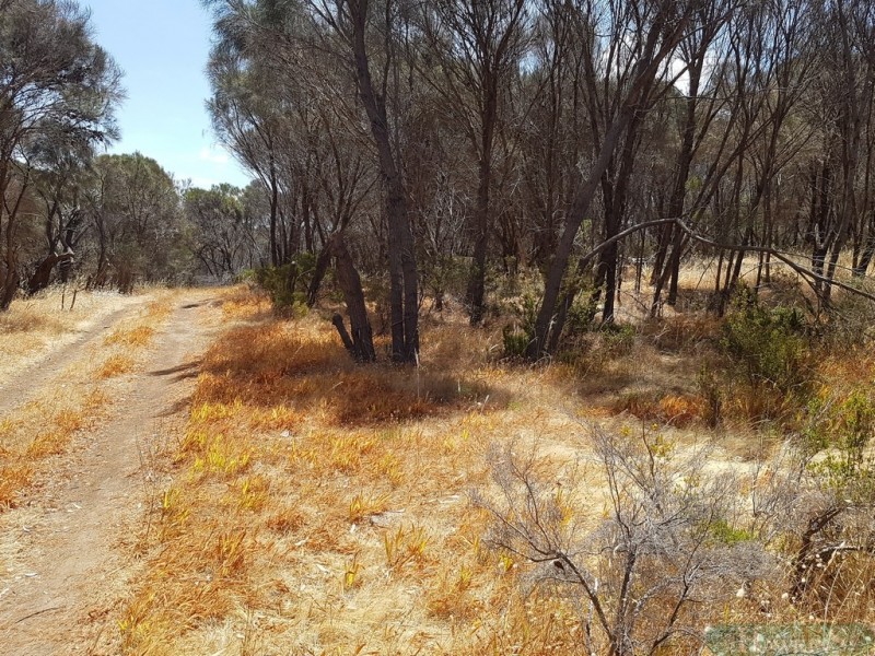 51 Bayview Road, American River SA 5221