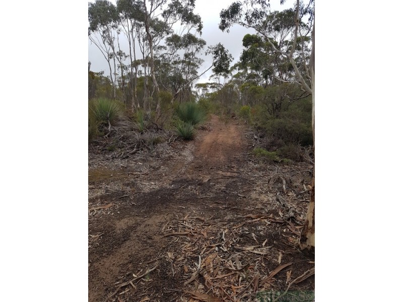 99 Birchmore Road, Macgillivray SA 5223