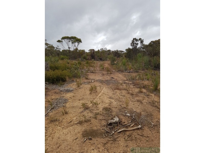 99 Birchmore Road, Macgillivray SA 5223