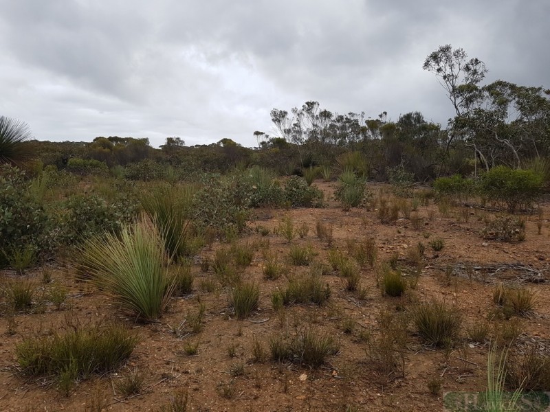 99 Birchmore Road, Macgillivray SA 5223