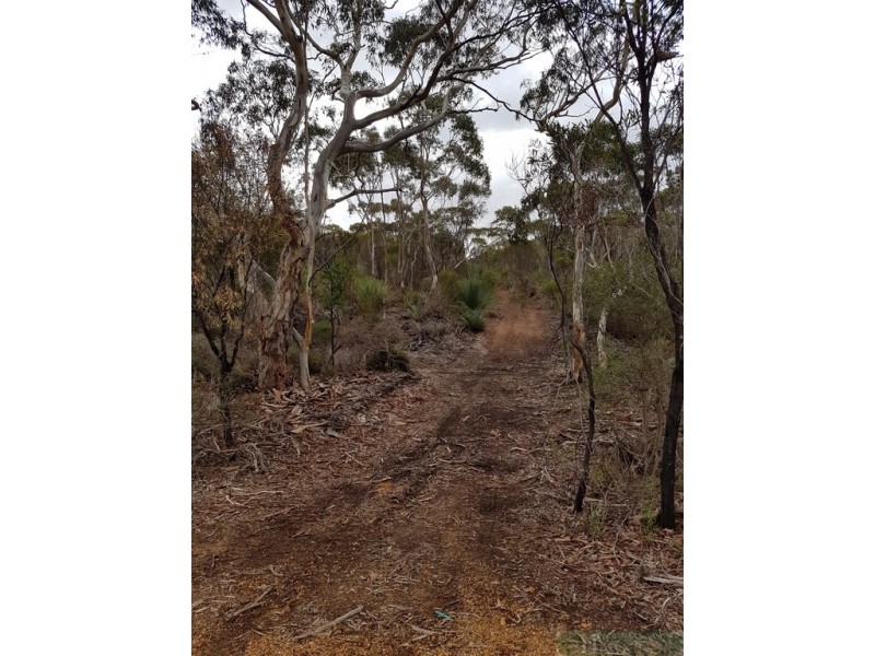 99 Birchmore Road, Macgillivray SA 5223