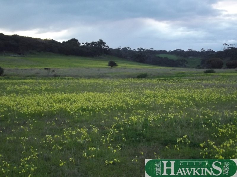 52 Plover Place, American River SA 5221