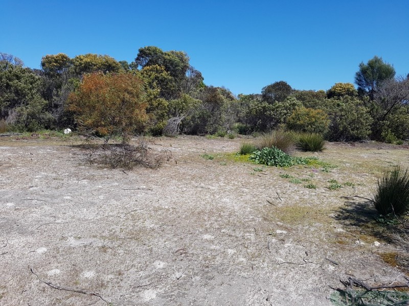 75 Second Street, Sapphiretown SA 5222