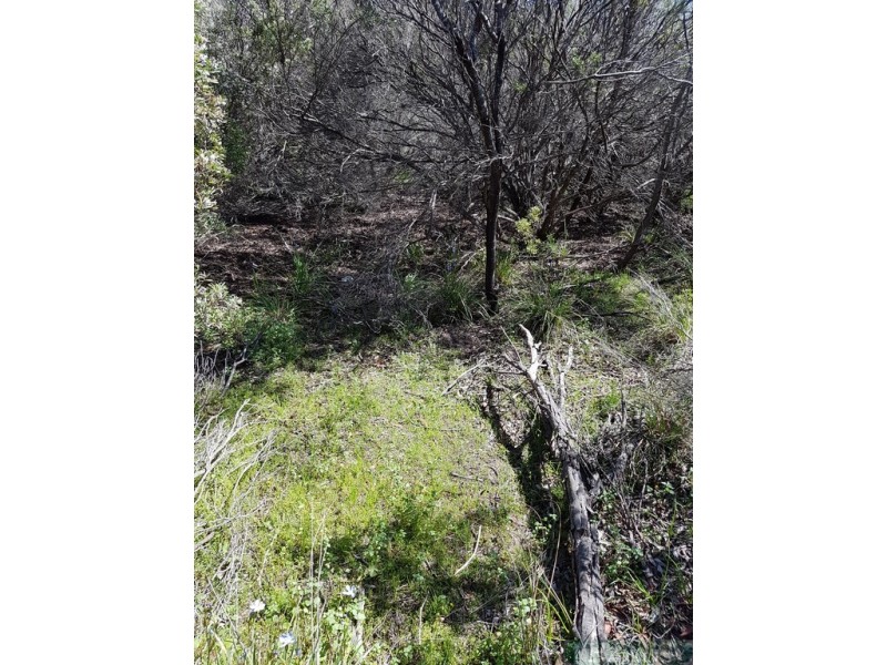 75 Second Street, Sapphiretown SA 5222