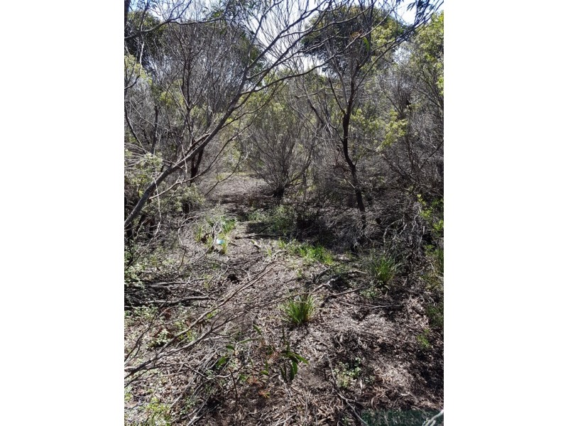 75 Second Street, Sapphiretown SA 5222