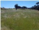 13 Longview Road, American River SA 5221