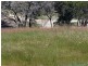 13 Longview Road, American River SA 5221