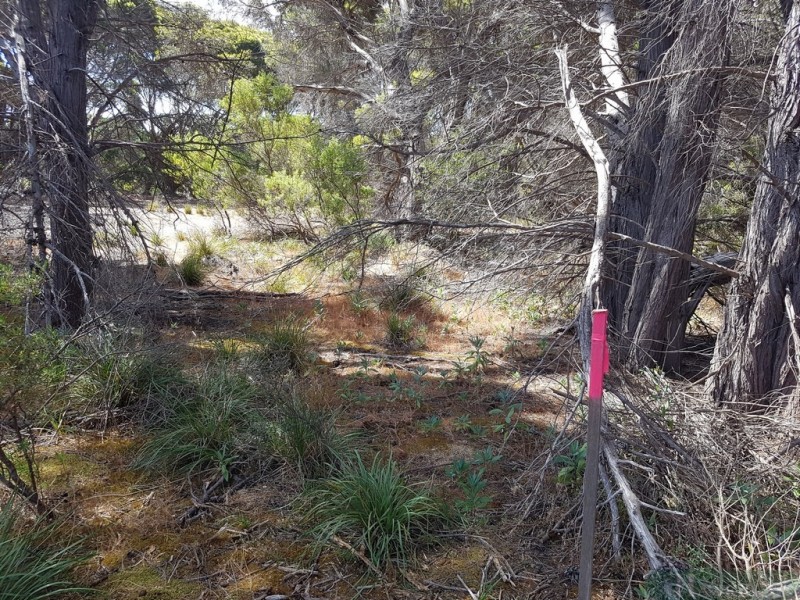 258 Mitchell Drive, Pelican Lagoon SA 5222