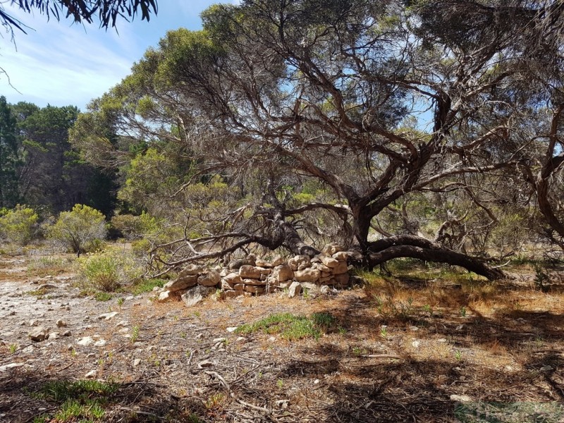 167 Mitchell Drive, Pelican Lagoon SA 5222