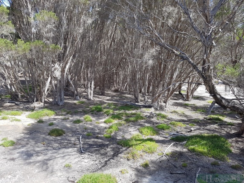 167 Mitchell Drive, Pelican Lagoon SA 5222