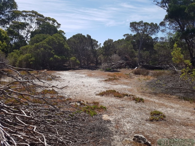 167 Mitchell Drive, Pelican Lagoon SA 5222