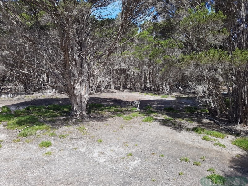 167 Mitchell Drive, Pelican Lagoon SA 5222