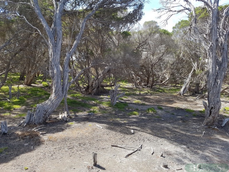 167 Mitchell Drive, Pelican Lagoon SA 5222