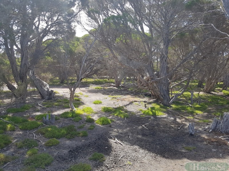 167 Mitchell Drive, Pelican Lagoon SA 5222