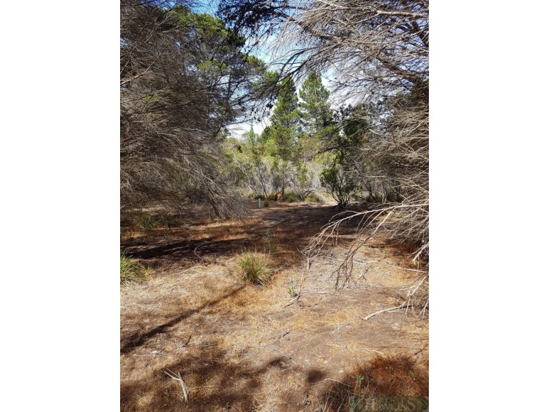 167 Mitchell Drive, Pelican Lagoon SA 5222