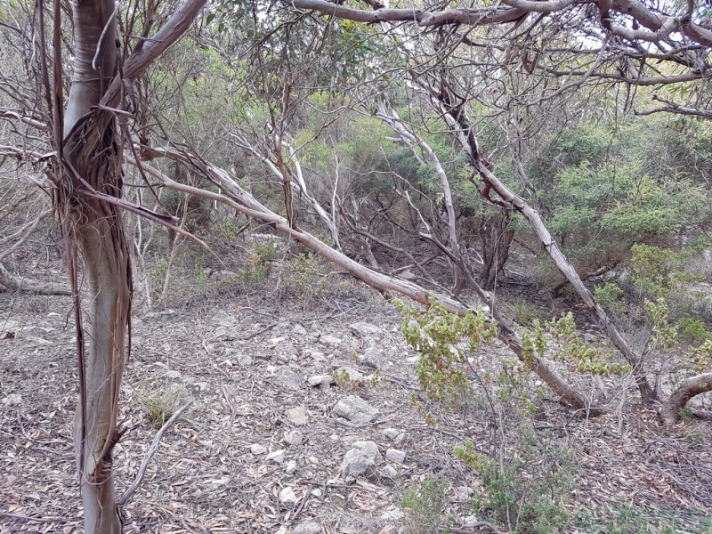 54 Dolphin Crescent, Vivonne Bay SA 5223