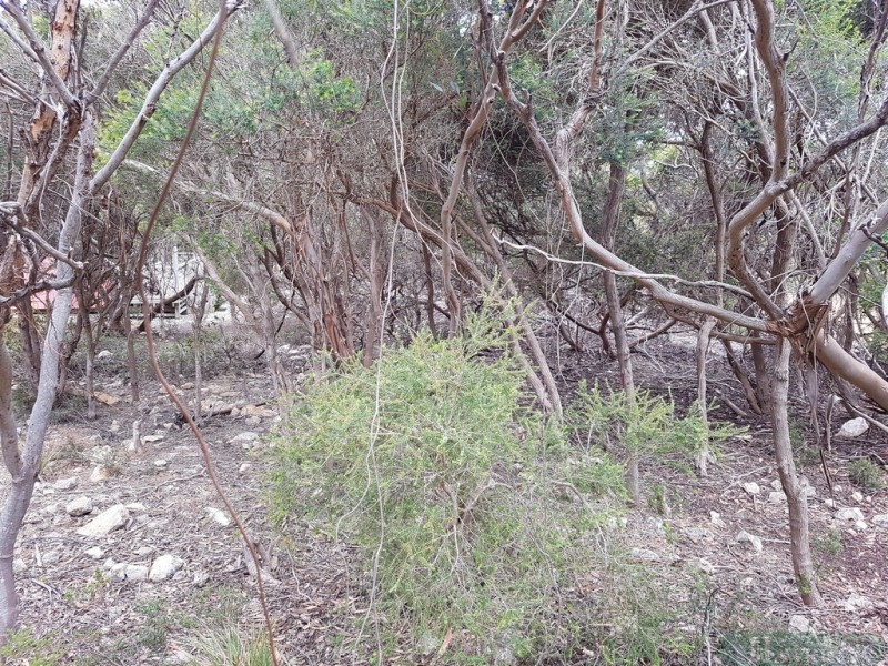 54 Dolphin Crescent, Vivonne Bay SA 5223