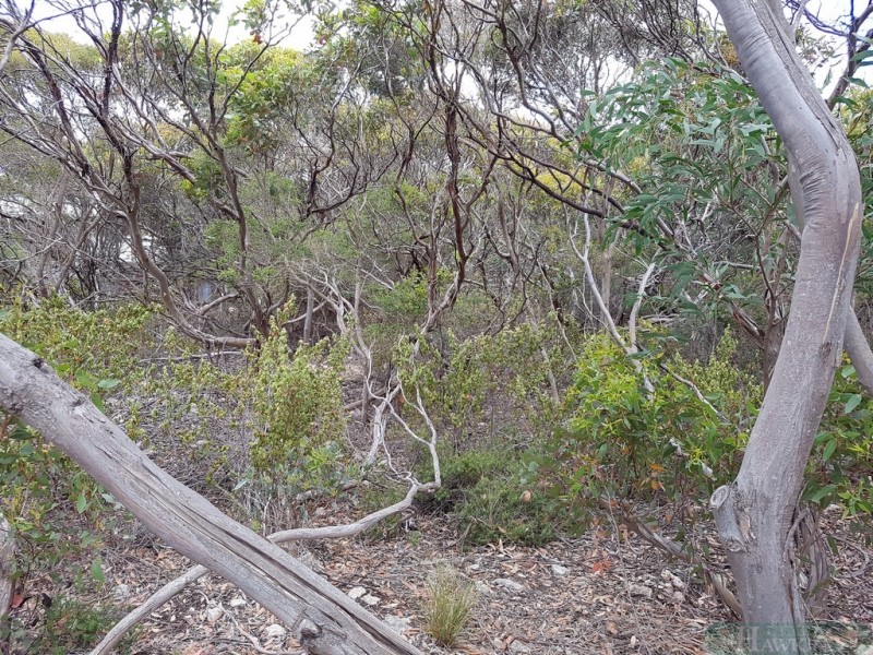 54 Dolphin Crescent, Vivonne Bay SA 5223