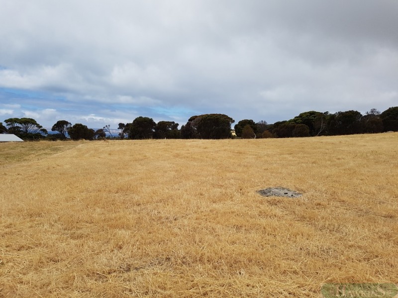 29 Dolphin Way, Penneshaw SA 5222