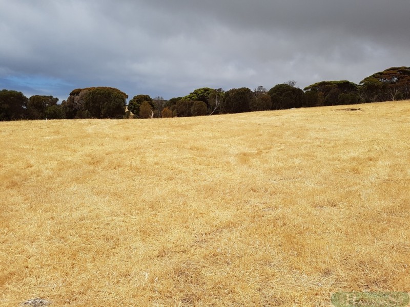 29 Dolphin Way, Penneshaw SA 5222