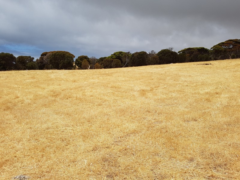 29 Dolphin Way, Penneshaw SA 5222